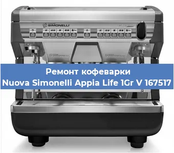 Ремонт кофемолки на кофемашине Nuova Simonelli Appia Life 1Gr V 167517 в Белгороде